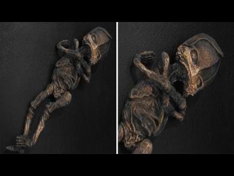 Mummified Alien Discovered In Russia