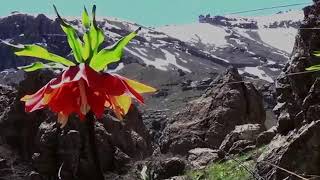 Nalin Amad Gabar Li Benda Weye Rêdûr Amanos