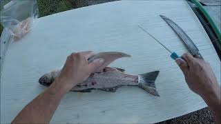 Gerber folding filet knife