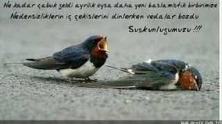 mustafa yıldızdogan akşama kadar