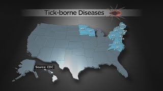 As Summer Wanes, Ticks Still Out In Full Force