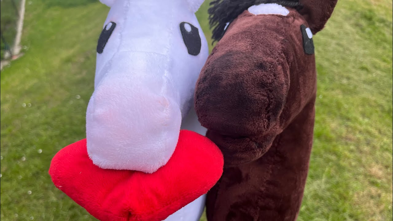 “SOLO” BLANKA hobby horse music video YouTube