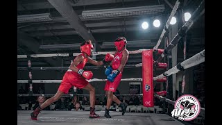 Colonial Combat: Knocking Out Breast Cancer (11-21-2021) - Bout #10: Robinson vs.  Kyte Net Worth