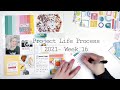 Project Life Process 2021  Week 16