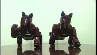 Genibo-M dance.wmv