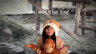 Water Bear Radioprotection | Breakthrough Junior Challenge 2026