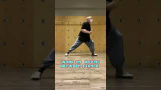 Kung Fu Stance drill  #shorts
