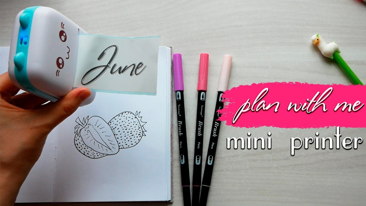 ASMR Decorating of Bullet Journal with Mini Thermal Printer - June Plan with me | no talking