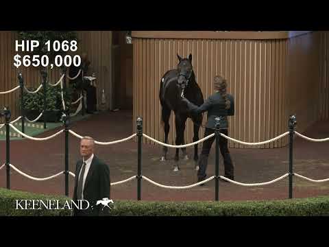 Hip 1068, Not This Time - Miss Exclusive, sells for $1.65 Million at 2026 Keeneland September