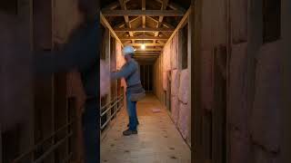 "I Built a Secret Room Under My Backyard! (Full Timelapse)"