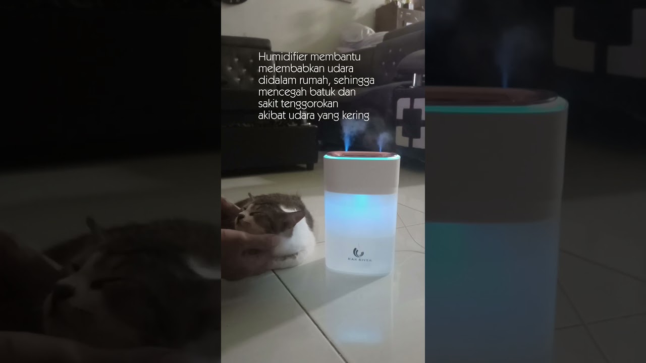 Rekomendasi humidifier diffuser essential oil aroma terapi HAN RIVER 