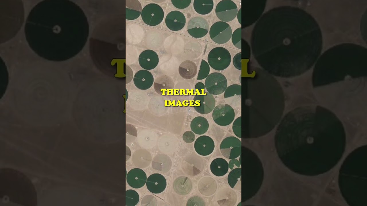 Что это за странные круги в Саудовской Аравии? Подпишитесь, чтобы узнать! 