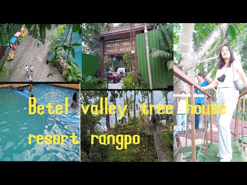 Betel valley tree house resort😇|Rangpo sikkim|KB vlogs - YouTube