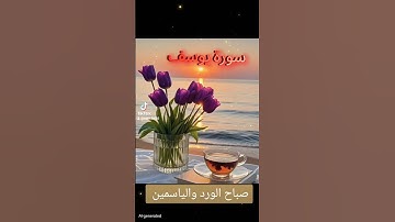 سورة يوسف #اكسبلور #القزابري #دويتو #الرحمن #تيك_توك #لايك #المصحف #duet #صباح_الخير #quran