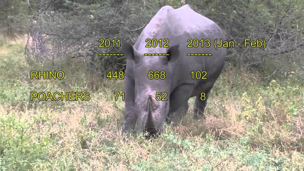 Worth more than Gold