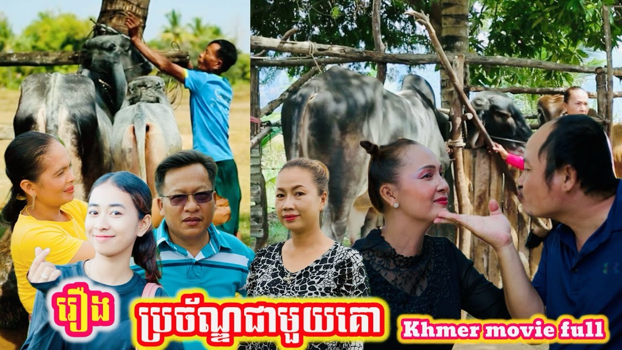 រឿង ប្រច័ណ្ឌជាមួយគោ Khmer movie full Jealous of the cow