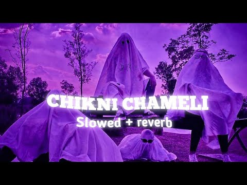 Chikni Chameli song lofi | hindi lofi song | Bollywood lofi song!