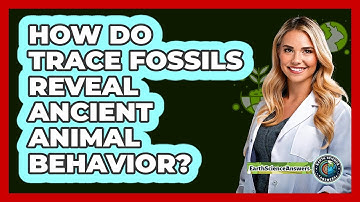 How Do Trace Fossils Reveal Ancient Animal Behavior? - Earth Science Answers