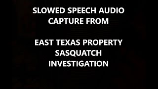 SASQUATCH, AN EAST TEXAS PROPERTY INVESTIGATION SPEECH CAPTURE OF THE AUDIO SLOWED DOWN