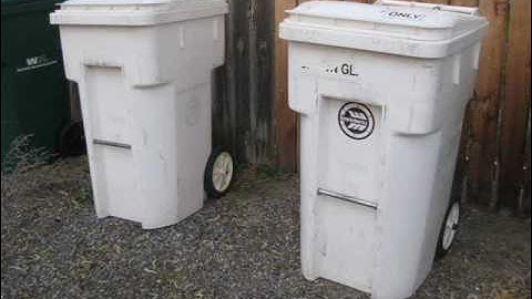 The Picture Series - Part 2: Garbage & Recycling At My Sister