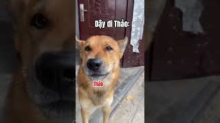 Dậy đi Thảo ơi