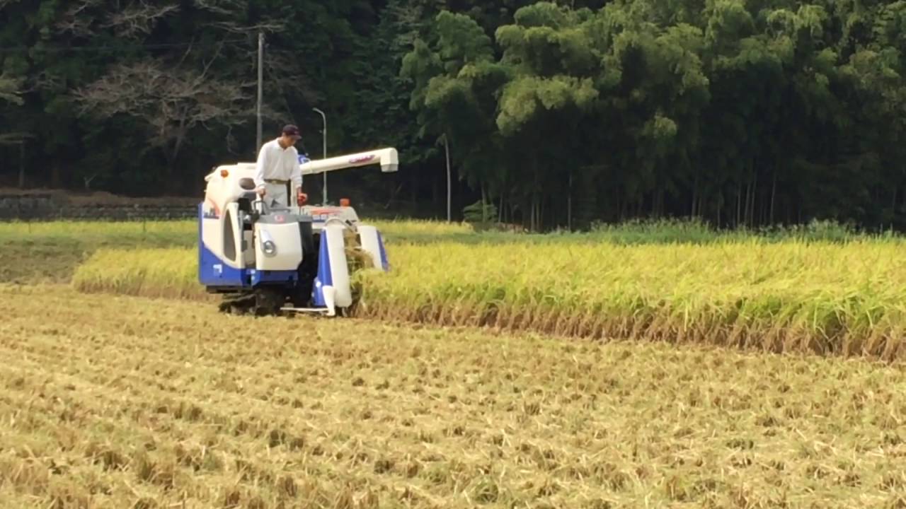 イセキ コンバイン HVF218 稲刈り！ - YouTube