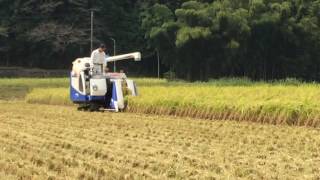 イセキ コンバイン HVF218 稲刈り！ - YouTube