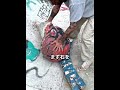 スケートパークに突然現れた巨大な石の頭 😂🗿