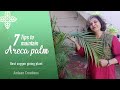 7 Tips for Complete Maintenance of Areca Palm | Best Oxygen Giving Plant