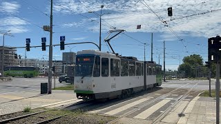 (Szczecin) Tatra KT4DtM (101) (linia 6)