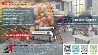 AMD Sortex(RC4) Peanut In Shell Optical Color Sorter Machine Price for Groundnuts Sorting