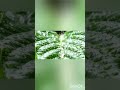 30 Minutes Relaxing Rain Sounds for Deep Sleep 🌧️