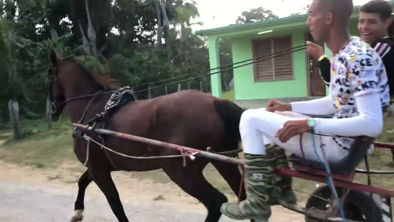 Fiestas de pilotos 2020