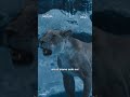 Mufasa: Il Re Leone | Disponibile su Disney+