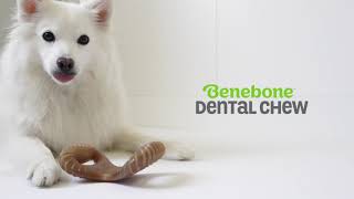 Benebone Dental Chew  Toy for Dogs