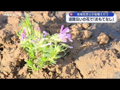 花で観光客を「おもてなし」金沢市の住民が苗を植える