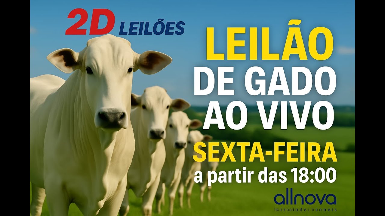 10º LEILÃO 2D LEILÕES AREALVA-SP