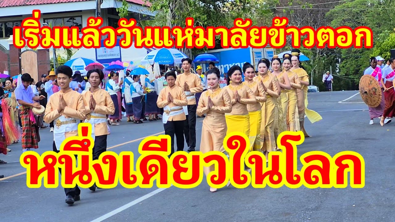 เริ่มแล้ว!! วันแห่มาลัยข้าวตอกหนึ่งเดียวในโลก ประจำปี 2569 ถ้าต่างชาติมาเห็นต้องอึ้งแน่นอน#มาลัย 