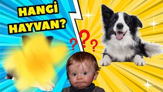 Guess the Animal! | Fun Kids Game 🐾 screenshot 1