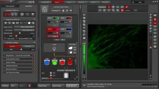 Leica LAS X Software: Footer