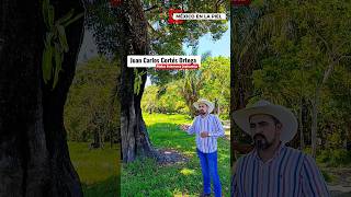 🚨 ¡La Garrapata Está Quebrando Ranchos⚠️ Así Protegemos Nuestro Hato🐂#vidaderancho #ganadería