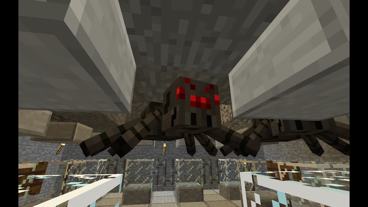 Spider EXP Farm Tutorial