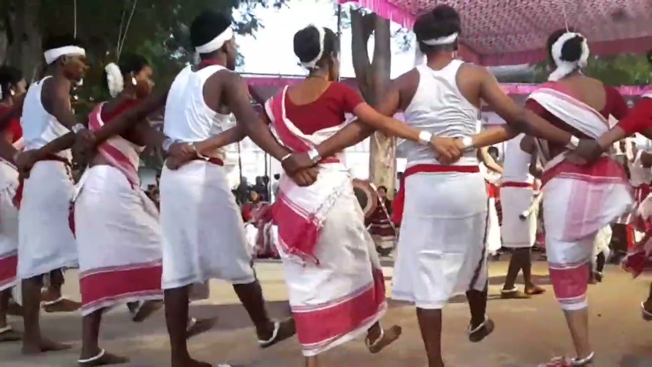 Hamirpur Parish ||Nikhil Odisha khadia maha sobha || Kalunga ||Cultural dance|| Modern Mr.Binay 2024