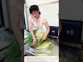 🔪 أسرع امرأة في تقطيع البصل الأخضر! 🧅