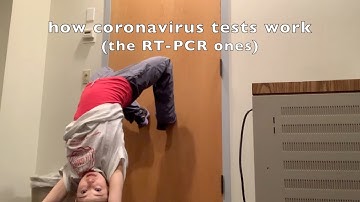 how coronavirus tests work (the traditional RT-PCR ones)