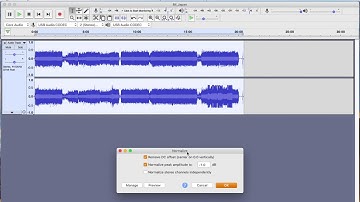How to transfer a Cassette Tape to MP3 on your computer using Audacity.
