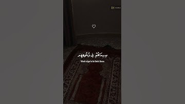 محمد رسول الله والذين معه اشداء على الكفار رحماء بينهم  سورة الفتح  القارئ  ياسر الدوسري #قرآن