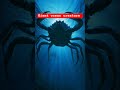 gigantic Ocean creature
