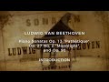 Liszt Beethoven Fascinating Aspects Of A 19th Century Performance Practice