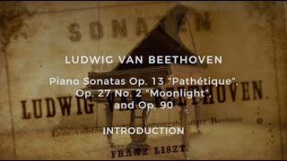 Liszt & Beethoven: Fascinating Aspects of a 19th Century Performance Practice